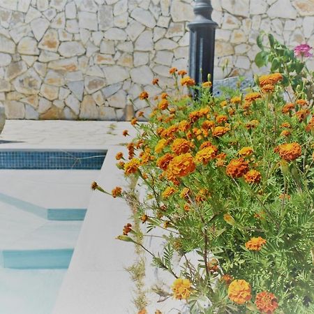 Estate Dafnopanagia Villa Magda Asprogerakata Exteriör bild