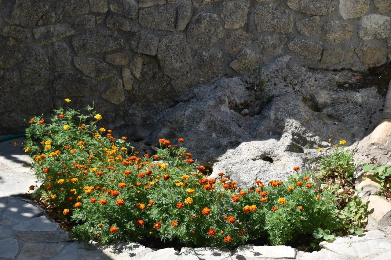 Estate Dafnopanagia Villa Magda Asprogerakata Exteriör bild